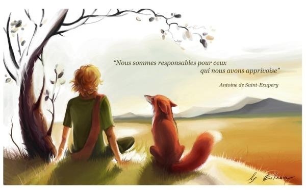 The fox, The Little Prince